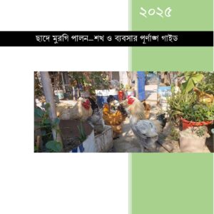 ছাদে মুরগি পালন–শখ ও ব্যবসার পূর্ণাঙ্গ গাইড