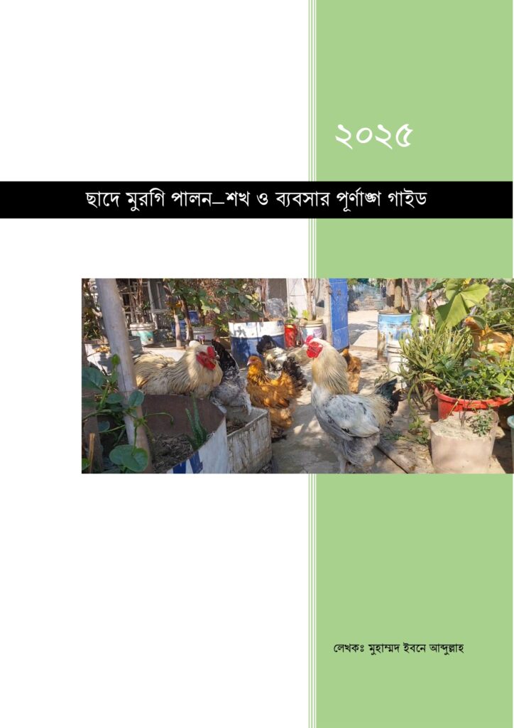 ছাদে মুরগি পালন–শখ ও ব্যবসার পূর্ণাঙ্গ গাইড